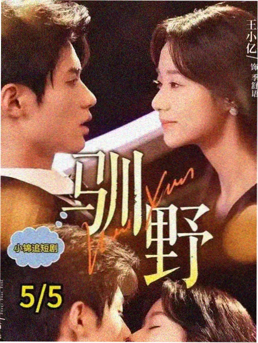 纸上迷城 影视原著小说封面